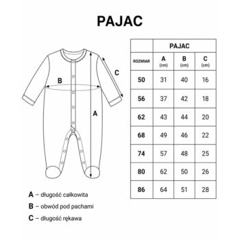 MUSIC Pajac 50/74